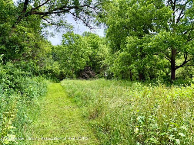 5447 Woods Road, Bellevue, MI 49021