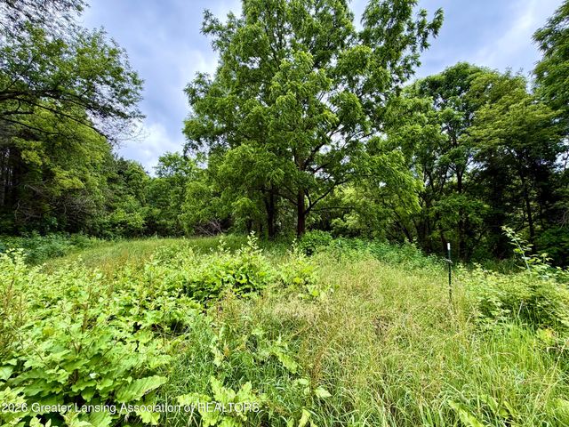 5447 Woods Road, Bellevue, MI 49021