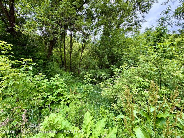 5447 Woods Road, Bellevue, MI 49021