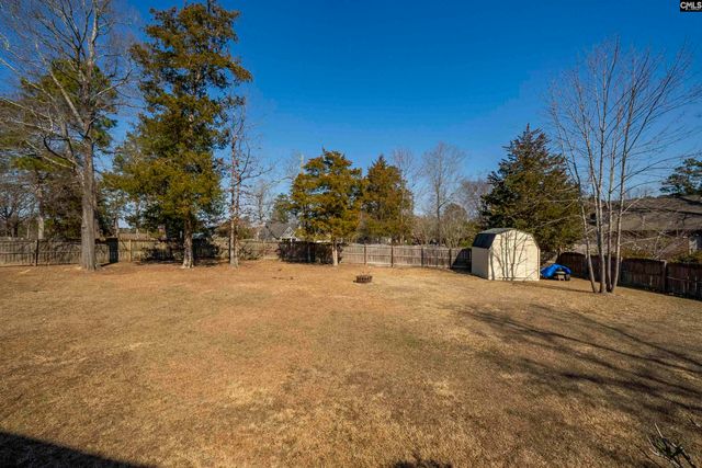 229 Dutchman Shores Circle, Chapin, SC 29036