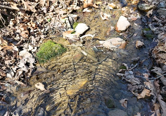 678 Reserve Road, Blairsville, GA 30512