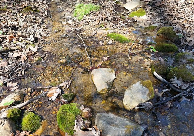 678 Reserve Road, Blairsville, GA 30512