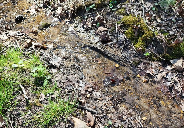 678 Reserve Road, Blairsville, GA 30512