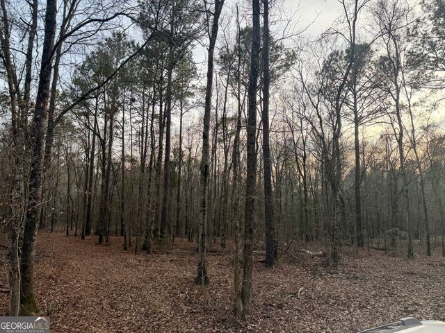 2601 New Evergreen Church Road, Cadwell, GA 31009