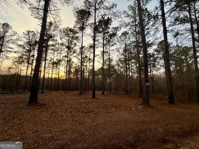 2601 New Evergreen Church Road, Cadwell, GA 31009