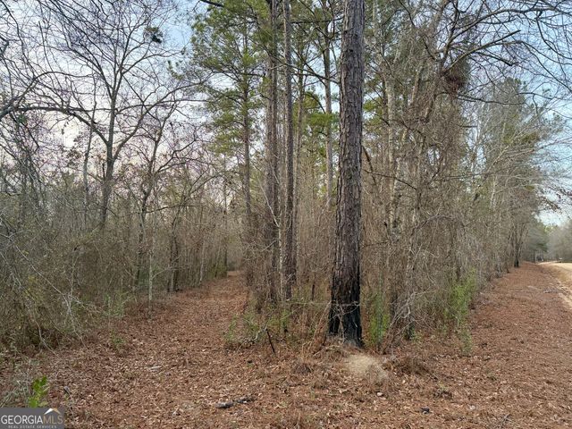 2601 New Evergreen Church Road, Cadwell, GA 31009