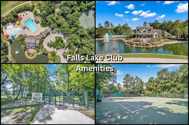 31742 Serrano Bluff Lane, Spring, TX 77386