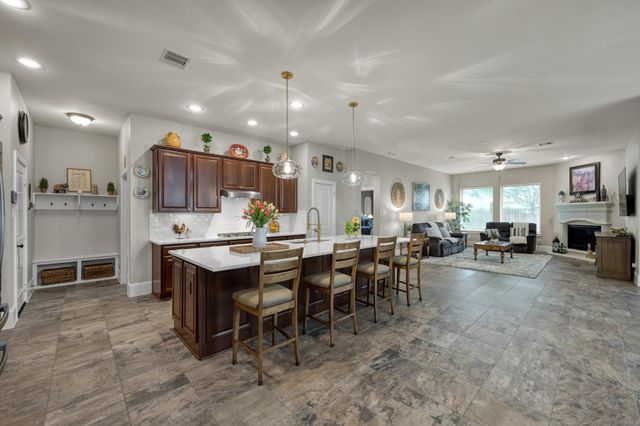 31742 Serrano Bluff Lane, Spring, TX 77386