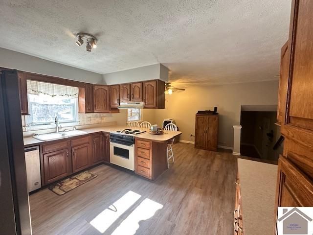 181 Jessamine Drive, Paducah, KY 42001