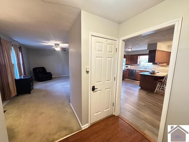 181 Jessamine Drive, Paducah, KY 42001