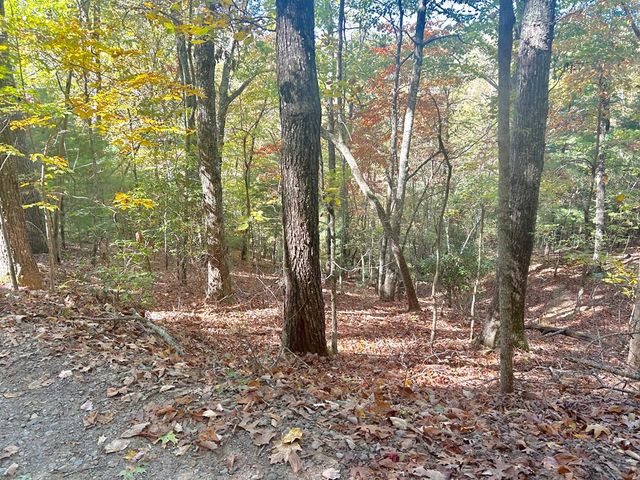 Lot 4 Ridgeline, Brasstown, NC 28902