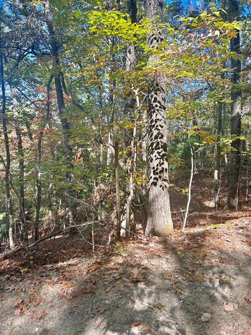 Lot 4 Ridgeline, Brasstown, NC 28902