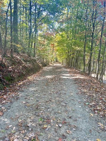 Lot 4 Ridgeline, Brasstown, NC 28902