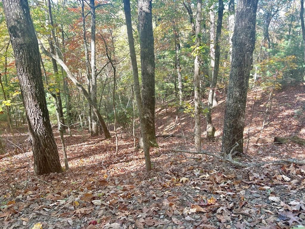 Lot 4 Ridgeline, Brasstown, NC 28902