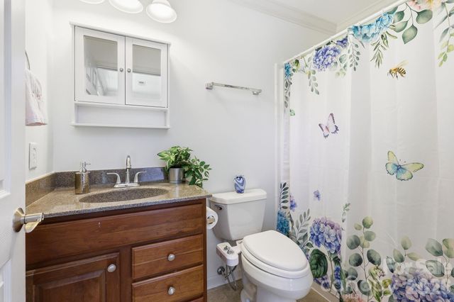 5 Terrace Court, Asheville, NC 28804