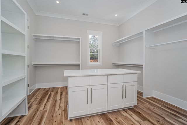 259 Killian Point Road, Chapin, SC 29036