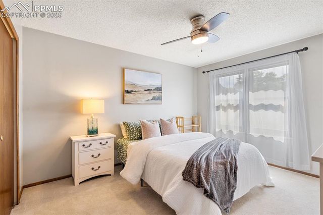 4636 Winewood Village Drive, Colorado Springs, CO 80917