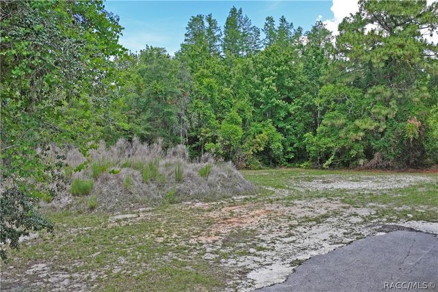 1020 N McGowan Avenue, Crystal River, FL 34429