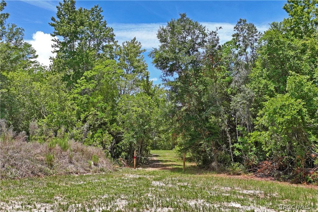 1020 N McGowan Avenue, Crystal River, FL 34429
