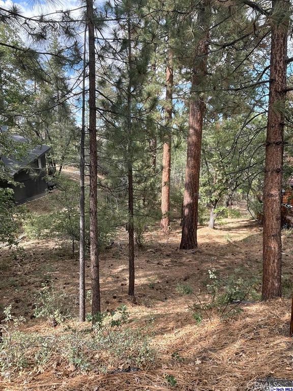 600 Travertine Road, Big Bear, CA 92314