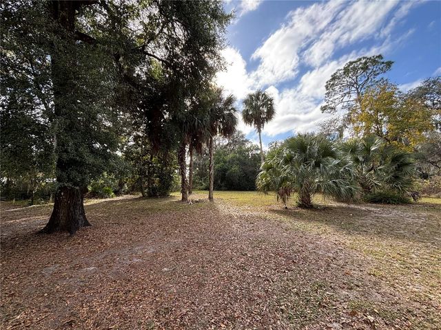 111 LITTLE ORANGE LAKE DRIVE, Hawthorne, FL 32640