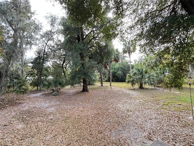 111 LITTLE ORANGE LAKE DRIVE, Hawthorne, FL 32640