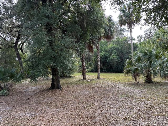 111 LITTLE ORANGE LAKE DRIVE, Hawthorne, FL 32640