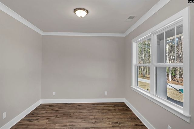 111 Greengarden Drive, Chapin, SC 29036