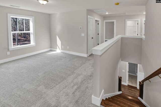 111 Greengarden Drive, Chapin, SC 29036