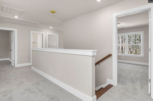 111 Greengarden Drive, Chapin, SC 29036