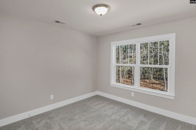 111 Greengarden Drive, Chapin, SC 29036