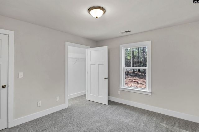 111 Greengarden Drive, Chapin, SC 29036