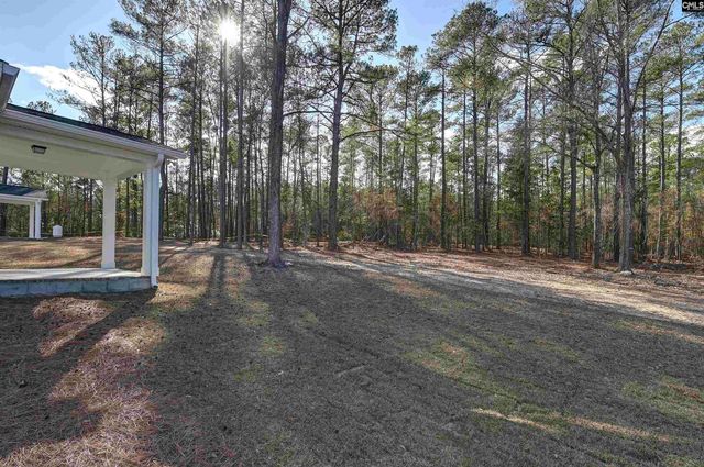 111 Greengarden Drive, Chapin, SC 29036