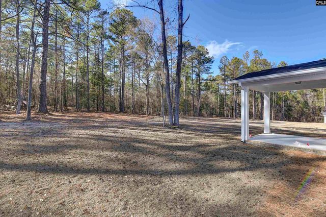111 Greengarden Drive, Chapin, SC 29036
