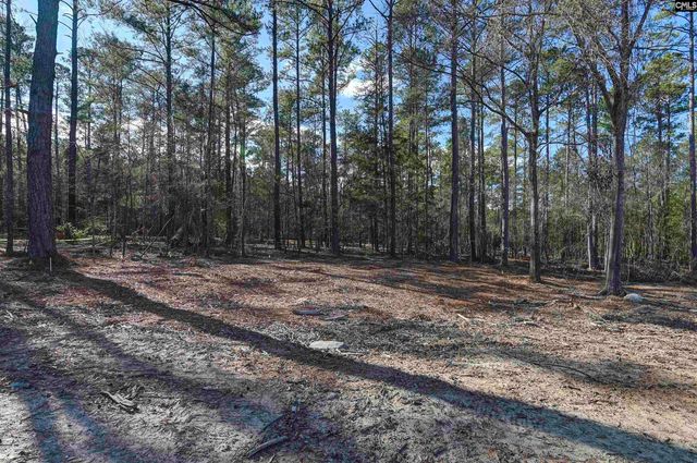 111 Greengarden Drive, Chapin, SC 29036