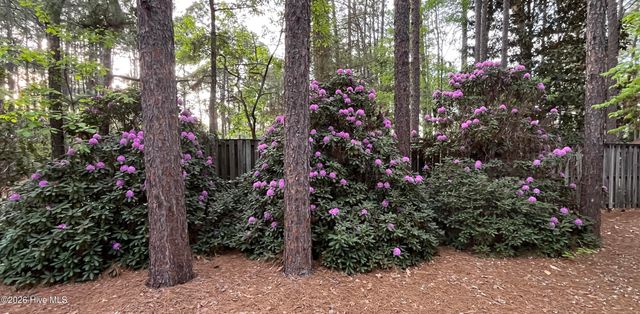 335 Swoope Drive, Southern Pines, NC 28387