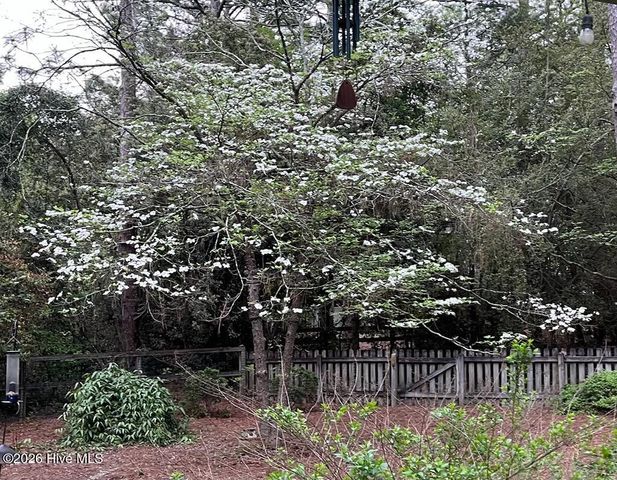 335 Swoope Drive, Southern Pines, NC 28387