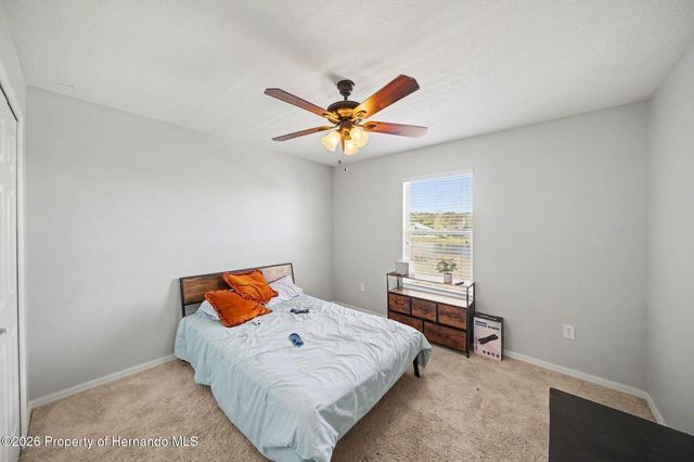 4809 Walnut Ridge Road, Land O'lakes, FL 34638