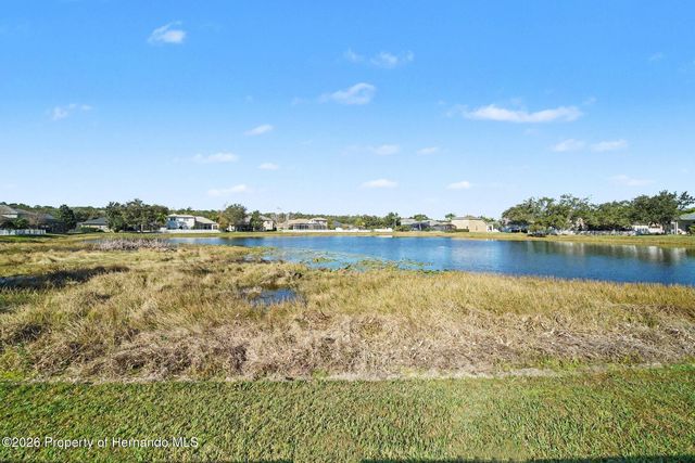 4809 Walnut Ridge Road, Land O'lakes, FL 34638