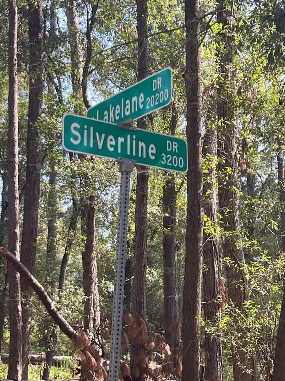 0 Silverline Drive, Houston, TX 77338
