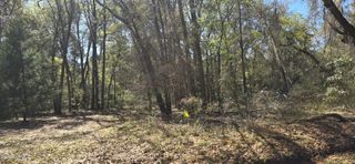 50 Toomer Road, St. Helena Island, SC 29920