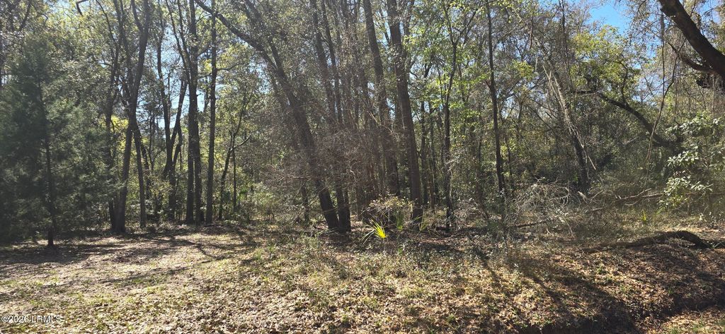50 Toomer Road, St. Helena Island, SC 29920