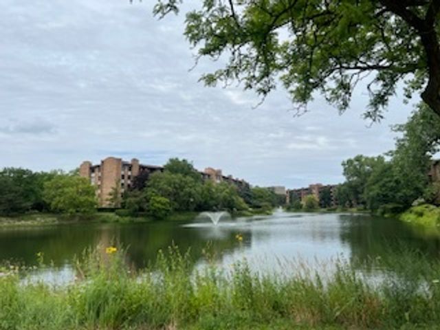77 Lake Hinsdale Drive 207, Willowbrook, IL 60527