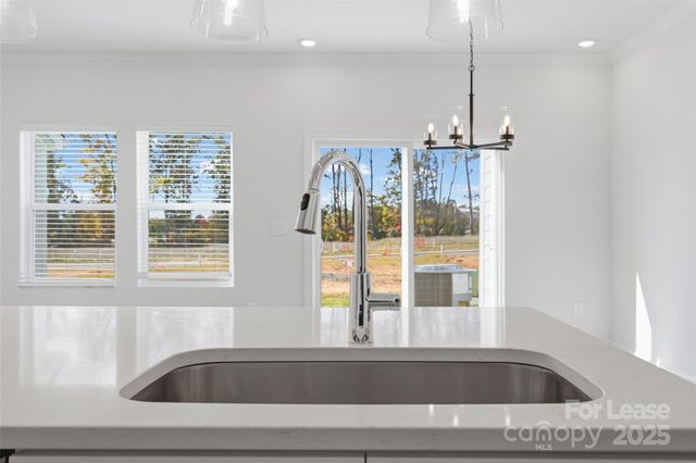 238 Tiger Lily Drive, Fort Mill, SC 29708