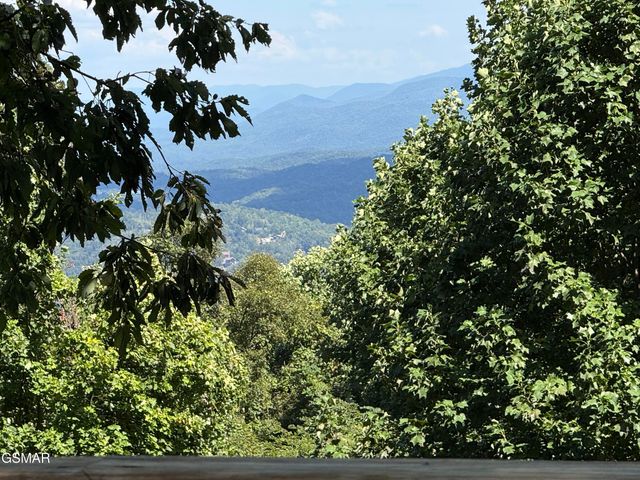 1448 N Arbon Lane, Gatlinburg, TN 37738
