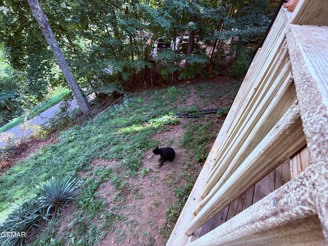 1448 N Arbon Lane, Gatlinburg, TN 37738