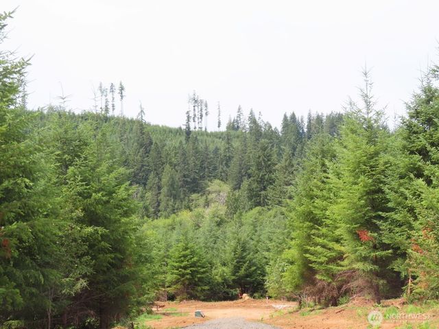 0 Lot D Mill Creek Lane, Longview, WA 98632