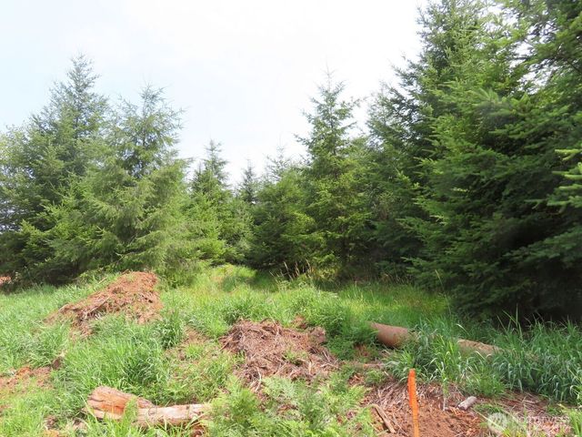 0 Lot D Mill Creek Lane, Longview, WA 98632