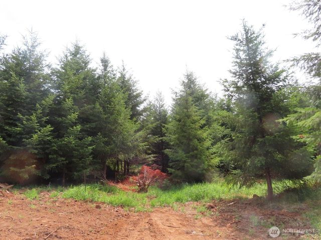 0 Lot D Mill Creek Lane, Longview, WA 98632