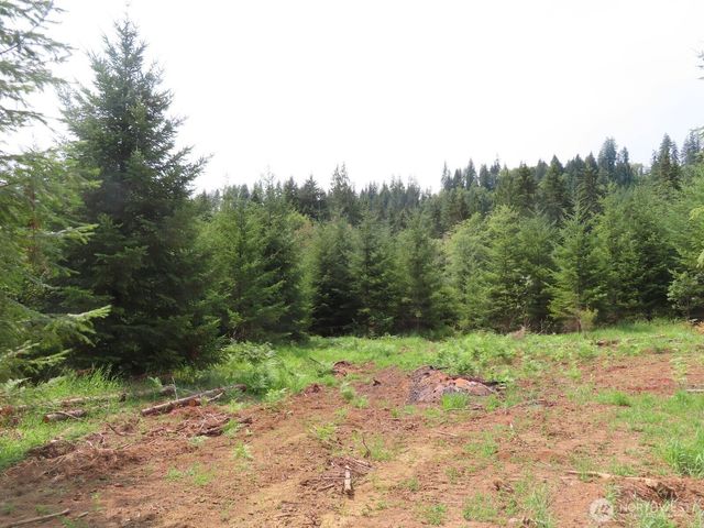 0 Lot D Mill Creek Lane, Longview, WA 98632
